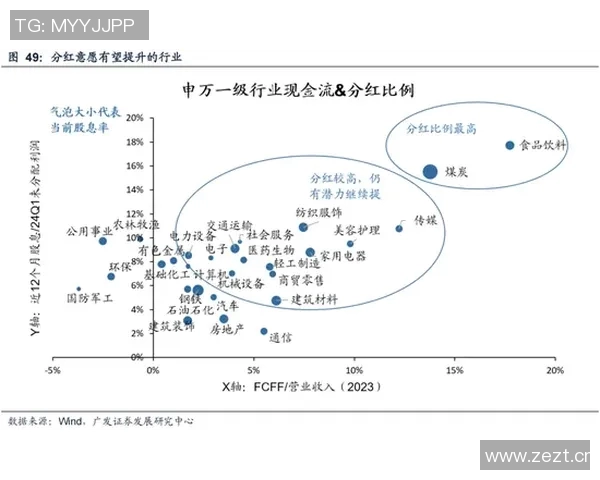 重庆滑板队的成功运营模式与发展策略深度解析